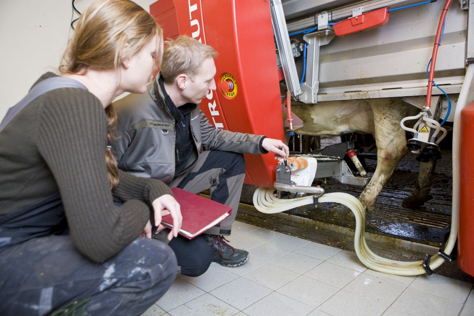 Eine Frau und ein Mann knien vor einem automatischen Melkroboter. Sie beobachten und überprüfen das Gerät, während eine Kuh darin gemolken wird.
