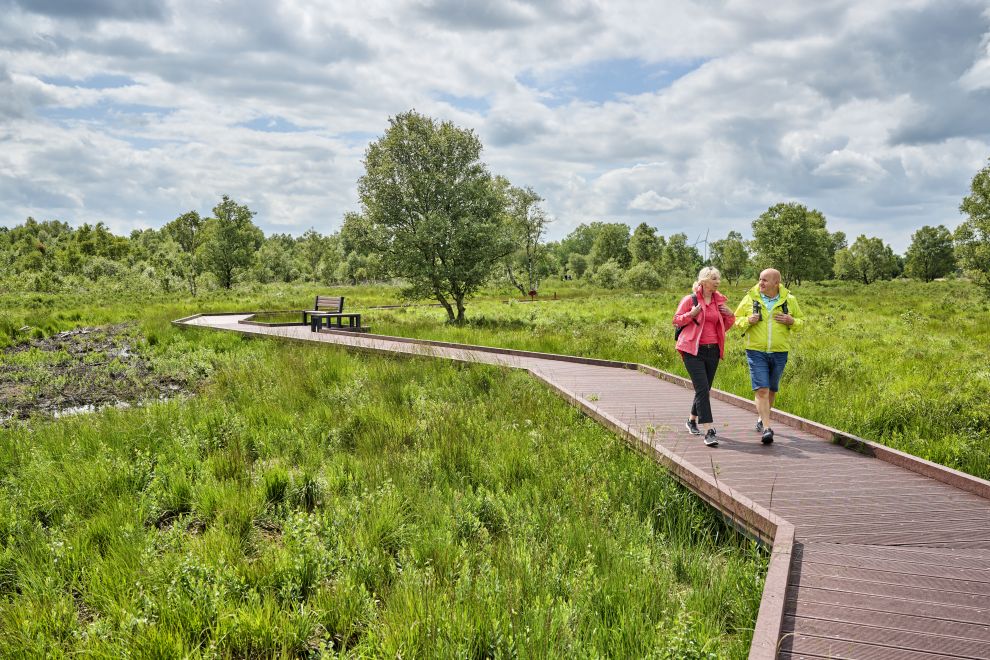 Zwei Personen wandern über einen Weg im Moor.