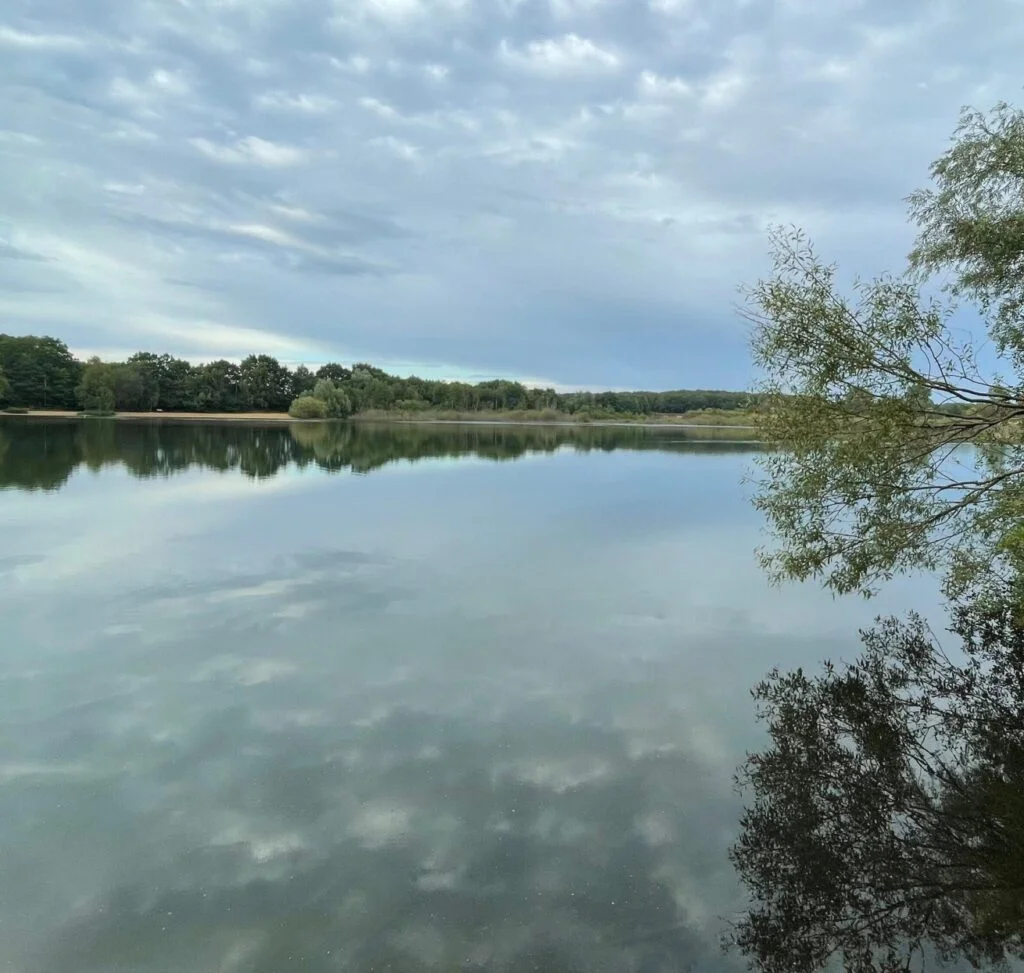 Blick über den zur Abendstunde scheinbar „reglosen“ See: Wer sich die Zeit nimmt und lauscht, wird das Trillern von Wasservögeln hören, die im ufernahen Bereich übers Wasser ziehen.