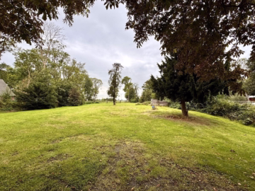 Baugrundstück mit angrenzender Weidefläche - Ansicht (36721)