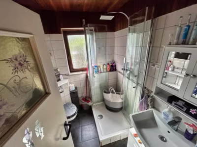 Vermietetes ZFH mit Mini-Bungalow im Garten - Duschbad EG (81178)