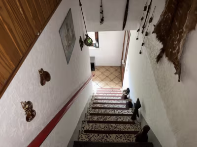 Vermietetes ZFH mit Mini-Bungalow im Garten - Treppe zur OG Wohnung (81186)