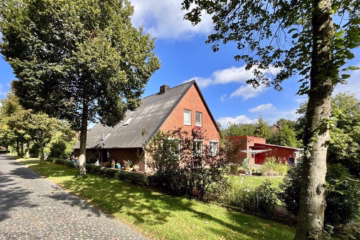 Großzügiges Einfamilienhaus mit großem Grundstück - Straßenansicht II (43077)