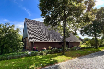 Großzügiges Einfamilienhaus mit großem Grundstück - Straßenansicht III (43078)