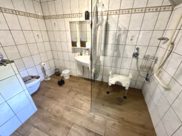 Großzügiges Einfamilienhaus mit großem Grundstück - Bad EG (43089)