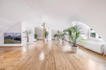 Exklusive Villa in Parknähe - Dachboden (43443)