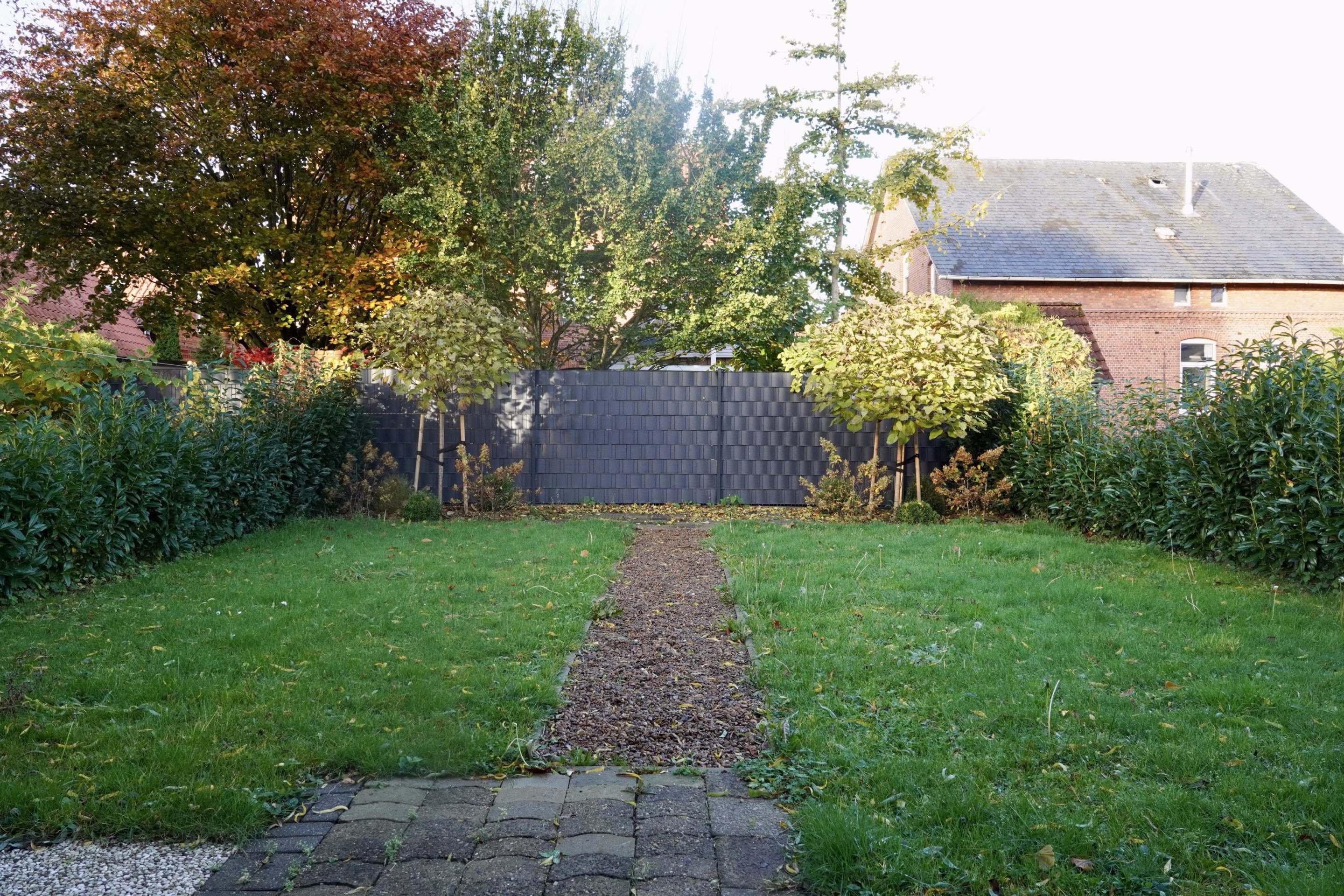 Blick in den Garten