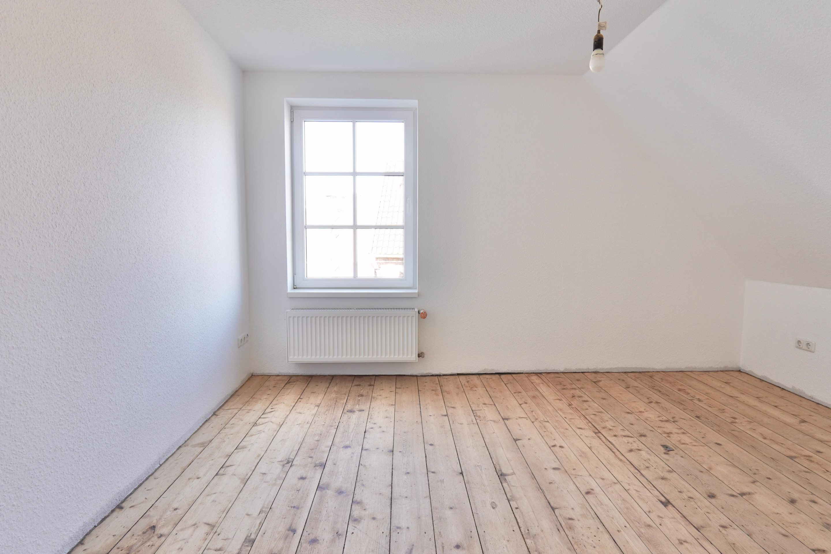 Zimmer DG