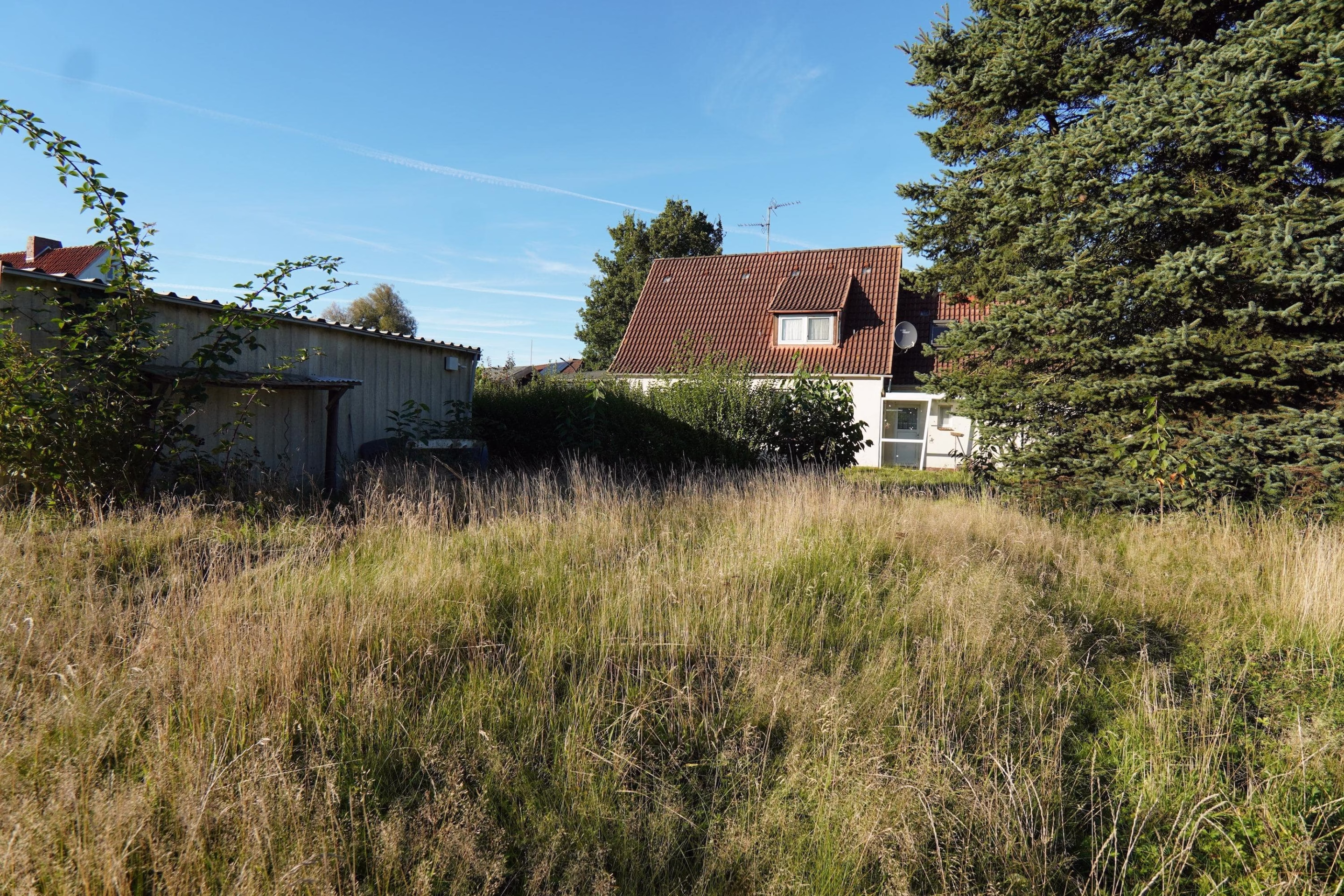 Blick aus dem Garten