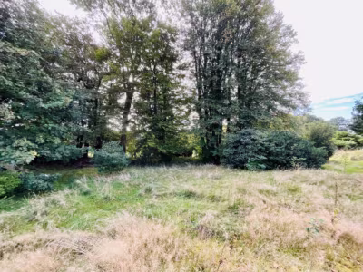 Einmalig: 3 Gebäude auf rd. 7.000 m² Grundstück - Gartenbereich (93239)