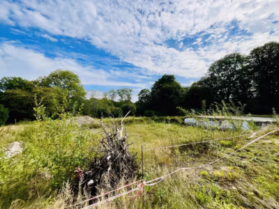 Einmalig: 3 Gebäude auf rd. 7.000 m² Grundstück - Grundstücksfläche (93234)