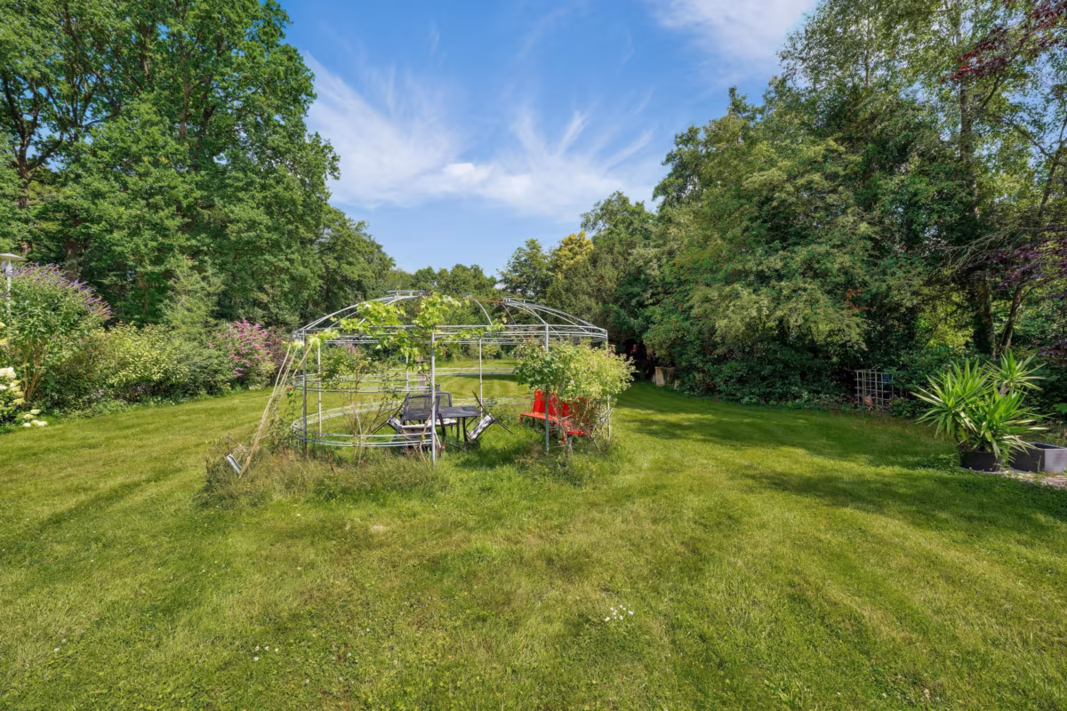 Blick in den Garten