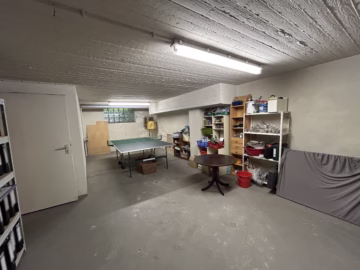 Ein Zuhause für die große Familie - Kellerraum (77125)