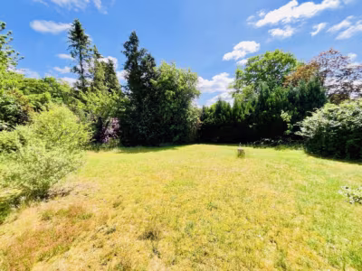 Familienhaus in schöner ländlicher Lage - Eigener Garten (79846)