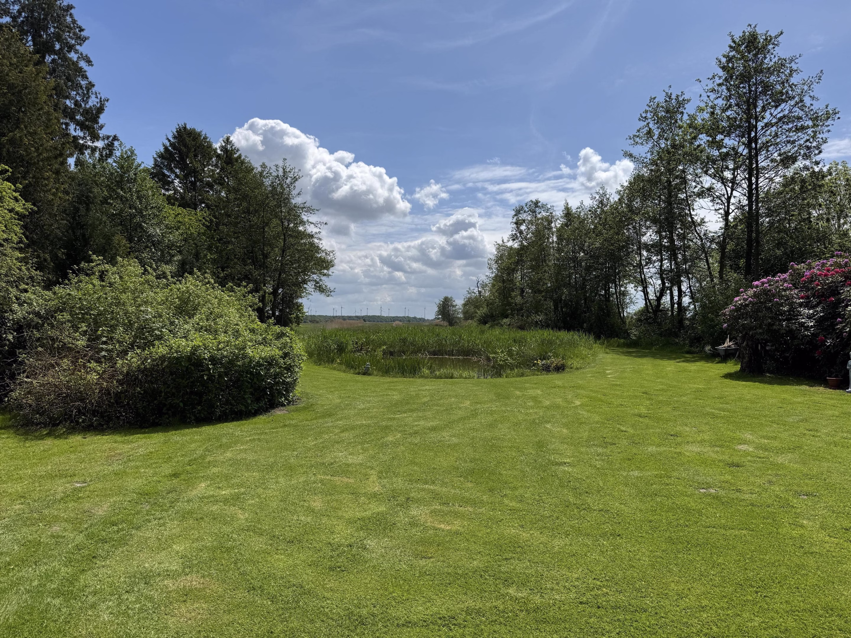 Blick in den Garten