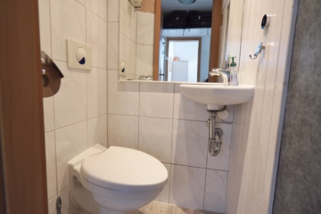 Doppelhaus im Feriengebiet „Achtern Diek“ - WC DHH 2 (41629)