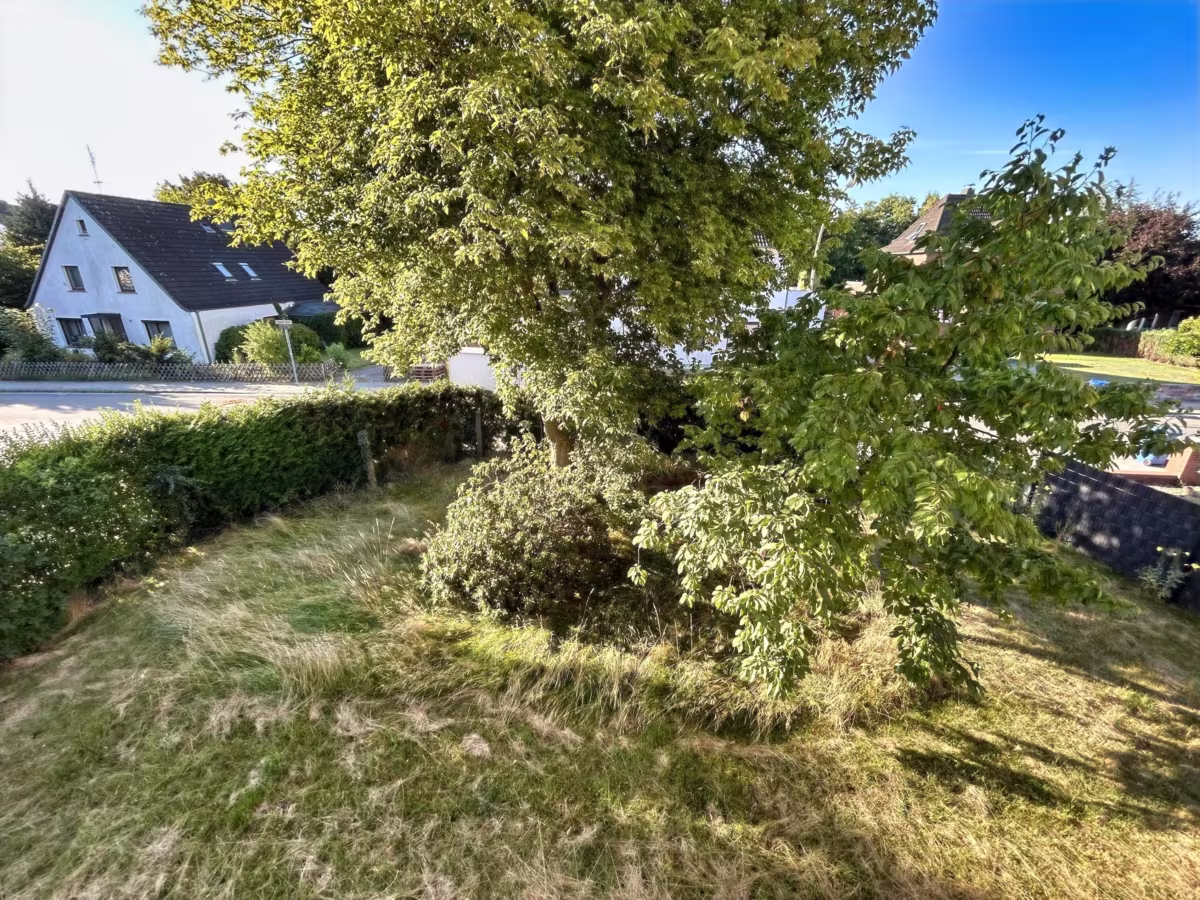 Garten zur Straße