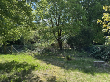 Architektenhaus in begehrter Lage - Blick in den Garten (51815)