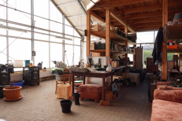 Aufgepasst – Imposantes Anwesen! - Lagerfläche (36752)