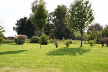 Aufgepasst – Imposantes Anwesen! - Garten (36762)