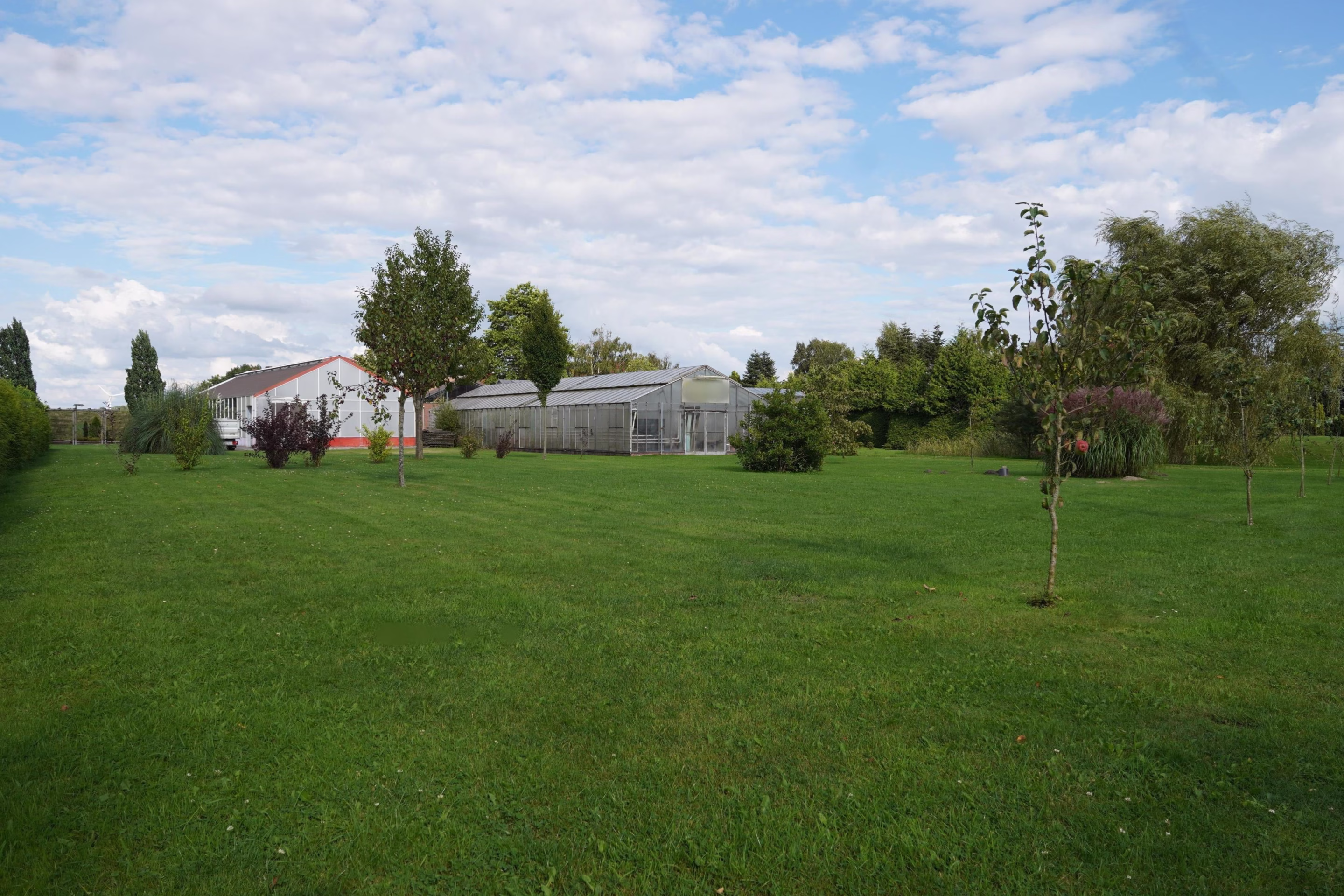 Blick aus dem Garten