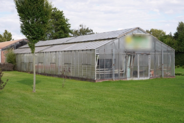 Aufgepasst – Imposantes Anwesen! - Gewächshaus (36757)