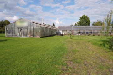 Aufgepasst – Imposantes Anwesen! - Gewächshaus (36758)