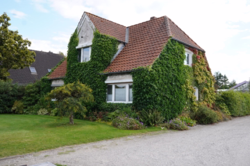 Aufgepasst – Imposantes Anwesen! - Frontansicht Wohnhaus (36729)