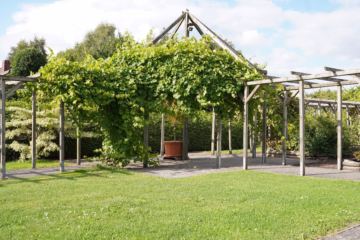 Aufgepasst – Imposantes Anwesen! - Garten (36761)