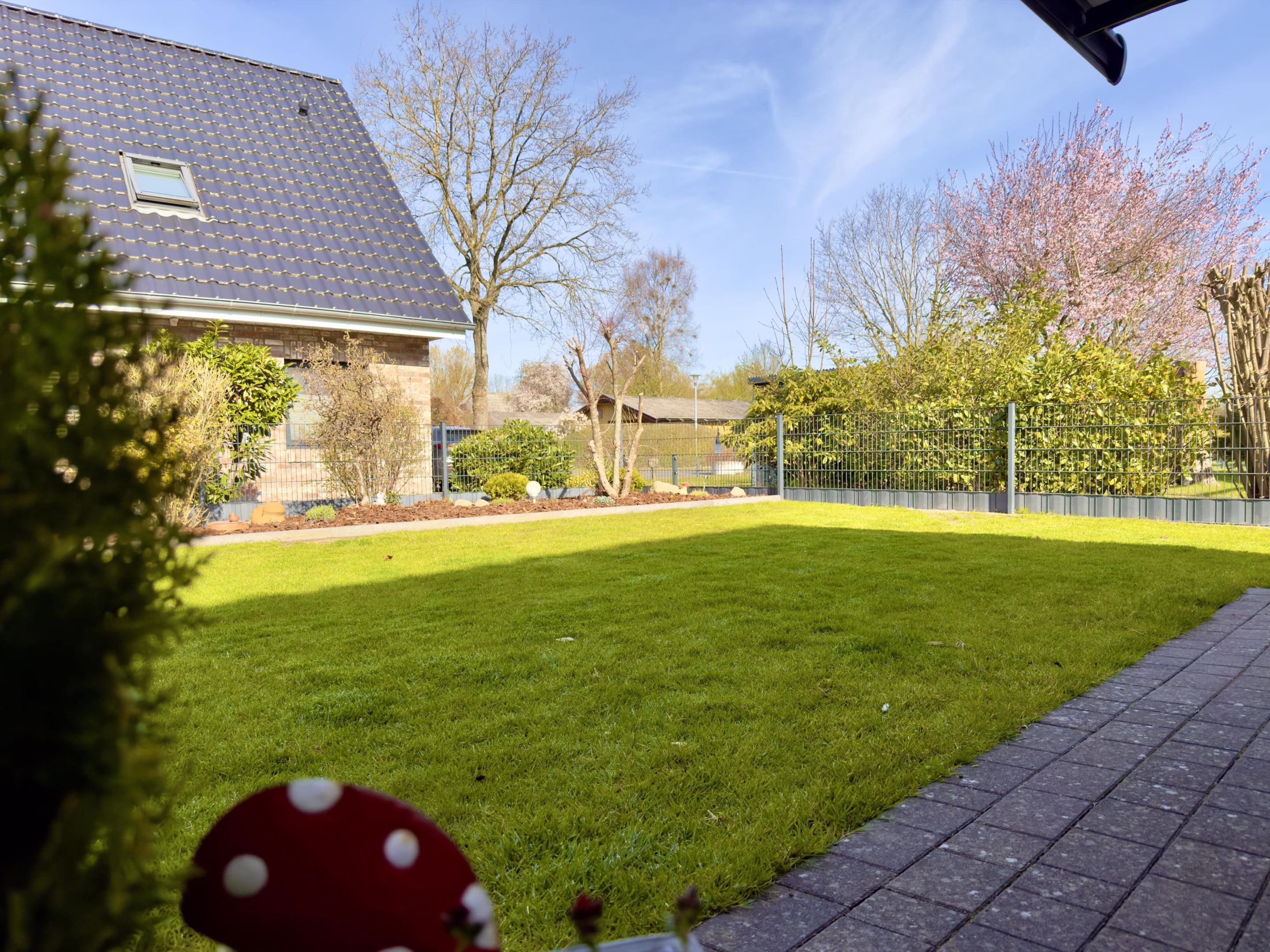 Blick in den Garten