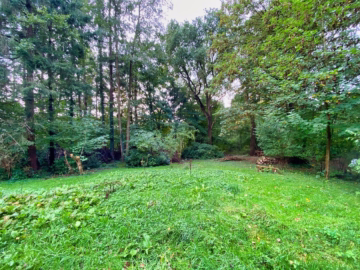 2 idyllische Grundstücke am Ende einer Sackgasse - Eindrücke im Sommer (45808)