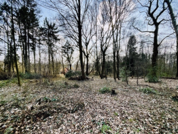 2 idyllische Grundstücke am Ende einer Sackgasse - Grundstücksensemble (45798)