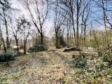 2 idyllische Grundstücke am Ende einer Sackgasse - Blick über das Grundstücksareal (45799)