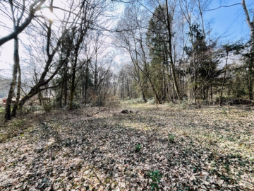 2 idyllische Grundstücke am Ende einer Sackgasse - Grundstück mit Hanglage (45800)