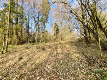 2 idyllische Grundstücke am Ende einer Sackgasse - Blick hangaufwärts (45804)