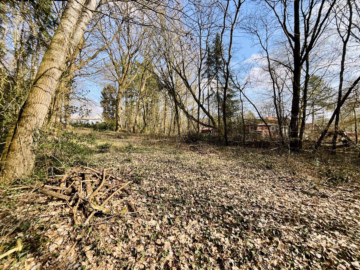 2 idyllische Grundstücke am Ende einer Sackgasse - Platz am Hang (45805)
