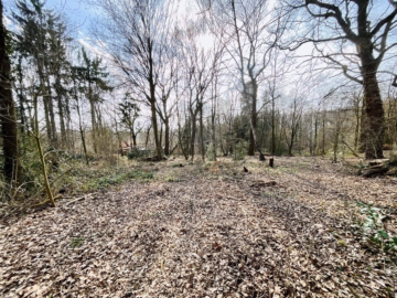 2 idyllische Grundstücke am Ende einer Sackgasse - Grundstücksensemble (45806)
