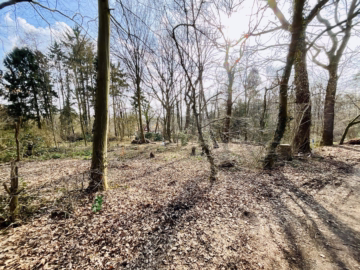 2 idyllische Grundstücke am Ende einer Sackgasse - Straßenansicht (45796)