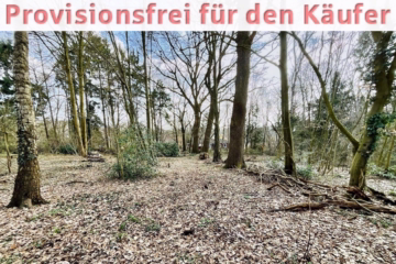 2 idyllische Grundstücke am Ende einer Sackgasse - Grundstücksansicht (45795)