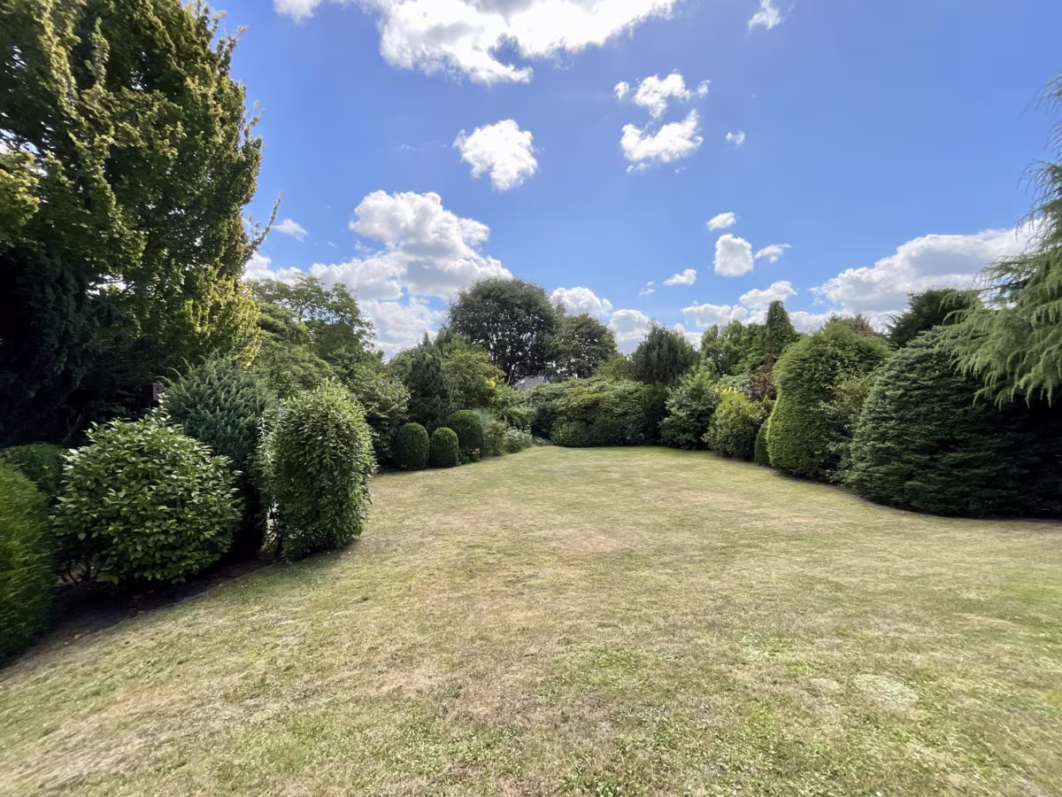Blick in den eigenen Garten