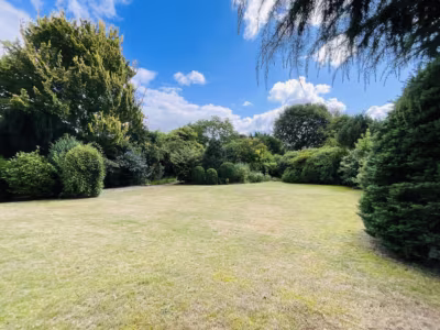 Schöne Lage: EFH mit großem Garten und Vollkeller - Blick in den eigenen Garten (80609)