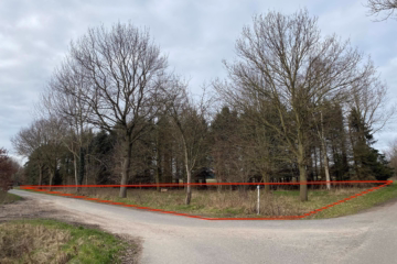 Ihre ganz eigene CO²-Ausgleichsfläche in Wollingst - Grundstück (35493)