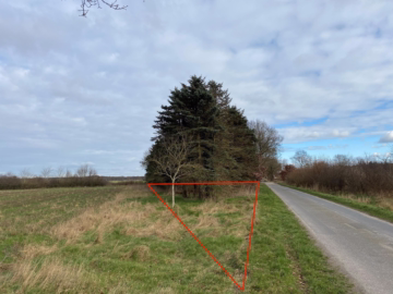 Ihre ganz eigene CO²-Ausgleichsfläche in Wollingst - Ansicht 3 (35495)