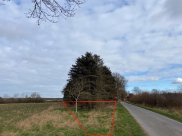 Ihre ganz eigene CO²-Ausgleichsfläche in Wollingst - Ansicht 4 (35496)