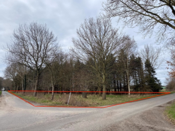 Ihre ganz eigene CO²-Ausgleichsfläche in Wollingst - Ansicht 5 (35497)