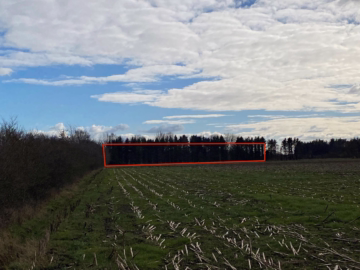 Ihre ganz eigene CO²-Ausgleichsfläche in Wollingst - Ansicht aus Wollingst kommend (35498)