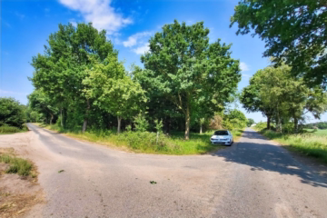 Ihre ganz eigene CO²-Ausgleichsfläche in Wollingst, 27616 Beverstedt, Land-/Forstwirtschaft