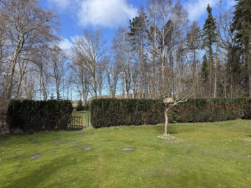 Walmdachbungalow auf parkähnlichem Grundstück - Garten (49924)