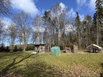 Walmdachbungalow auf parkähnlichem Grundstück - Nutzgarten (49926)