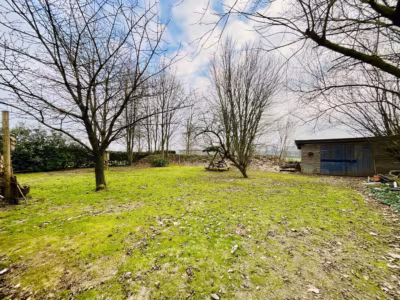 Hier lässt es sich leben: Gut aufgeteiltes EFH - Blick in den Garten (81747)